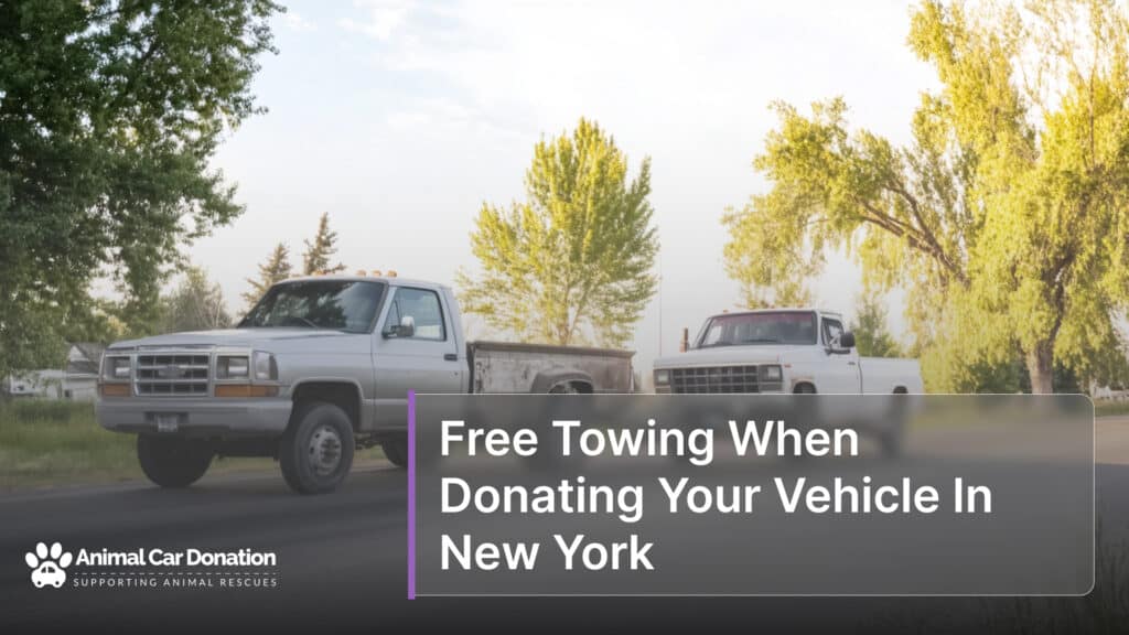 Free Towing When Donating Your Vehicle In New York