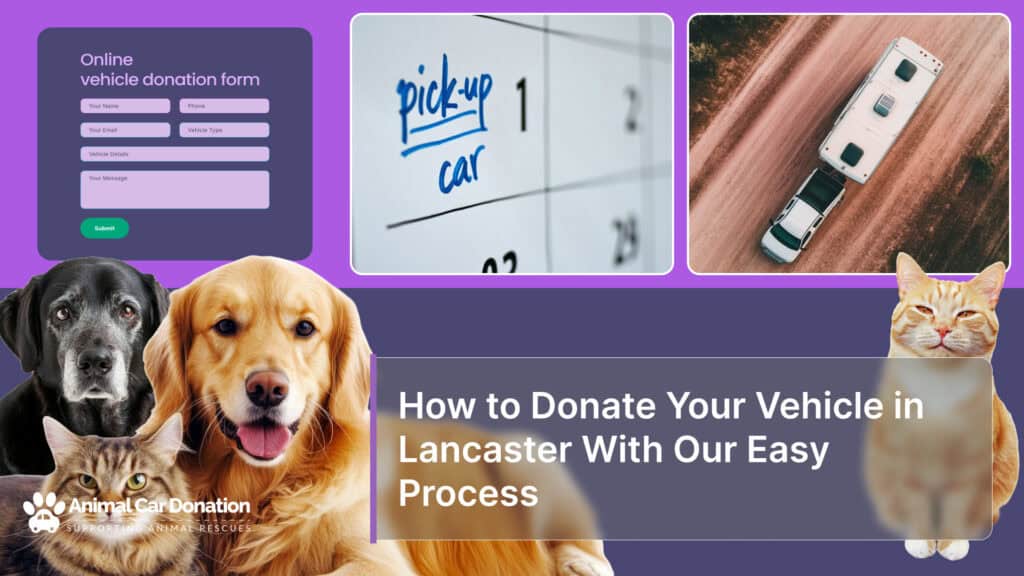 How to Donate Your Vehicle in Lancaster With Our Easy Process